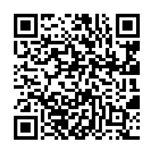 也未必能够在韩风收起冰晶之心之前将冰晶之心抢到二维码生成