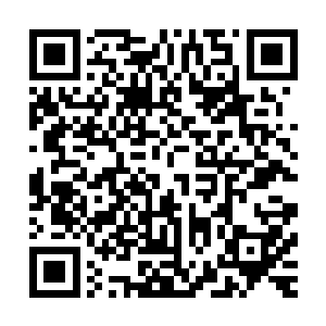 也根本不能解决根本问题的哪怕地底人真的抹杀了所有情感和二维码生成