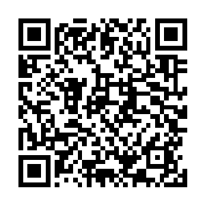 也根本无法做出与她所拿出的枪支弹药同样效果的热兵器二维码生成