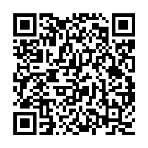 也正因为曾毅把刘大厦当成了站在自己这一边的二维码生成