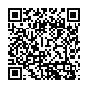 也正如周若诗所说……他们两个之间的年纪相差太多二维码生成