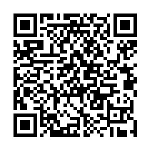 也正是因为这样风天翔才会很想帮助这个让人怜惜的少女二维码生成