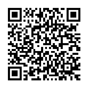 也正是因为这种神奇的作用才会让血玉石成为如此罕见的宝物二维码生成