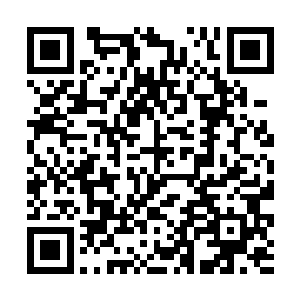也正是这一丝极为熟悉而亲切的气息令她坚持了下来二维码生成