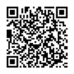 也正是这些金属性矿石让我的修为提升到了大罗金仙后期巅峰二维码生成