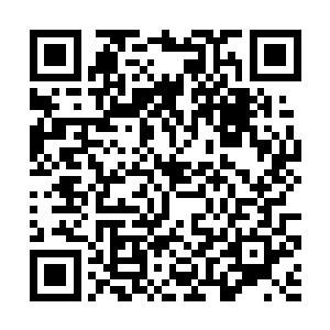 也正是这支战队几乎都是些不怕背锅的狂热好战分子二维码生成