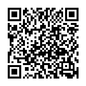 也正是这空间的震动让我们十一个元神散去了相互吞噬的心思二维码生成