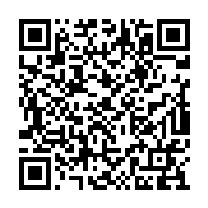 也没听说谁觉得现代社会居然还有吸血鬼和狼人二维码生成