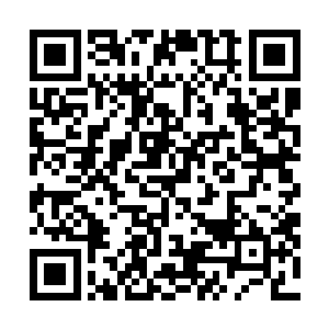 也没想到给意念珠注入精神力创造意念分身的是雷大长老二维码生成