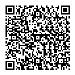 也没愿意再在车里重复一次诸如菲利普王子的身体还好吧我肾虚秦老师你呢我痔疮之类的废话二维码生成