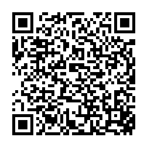 也没有主角光环想要闯出一番像那些女主一样地风云人生是不可能的二维码生成