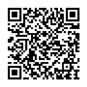 也没有人觉得他会失分或者一朵鲜花插在牛粪上二维码生成