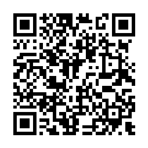 也没有什么厉害的仙人会选择在这里开辟洞府修炼二维码生成