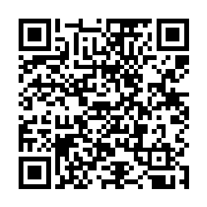 也没有像我一样在你体内吸收了那么多你和战爹的能量二维码生成