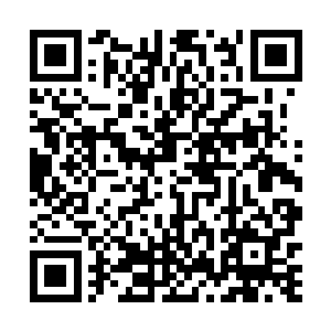 也没有去阻止再次进入房间的咕仔去为澹台璃打开房门二维码生成