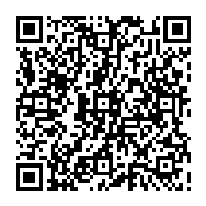 也没有发现什么特殊的人物……最终她只能带着些许疑惑的眼神回归了原来的样子二维码生成
