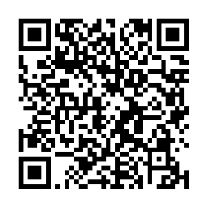 也没有听说灵武大陆有能炼制出这样灵丹的大炼丹师啊二维码生成