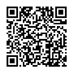 也没有嘲讽尼古拉斯――因为他们知道这是尼古拉斯实力所致二维码生成