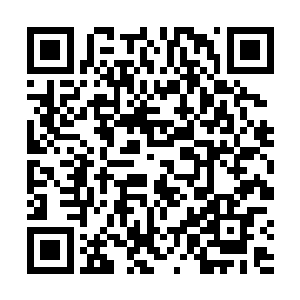 也没有巡营的队伍――这营地小得实在是一眼就看穿了二维码生成