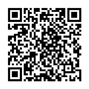 也没有注意到发了失心疯一般跑进死亡森林里面的东黎尤二维码生成