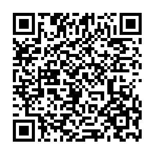 也没有狂暴绝伦的冲击波……就仿佛两个人轻飘飘的一人给了对方一下似的二维码生成
