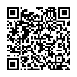 也没有自己开办事务所的资格……所以这十多万积分不能动二维码生成