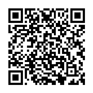 也没有足够的仙力支撑来完成整个幻化的过程啊二维码生成