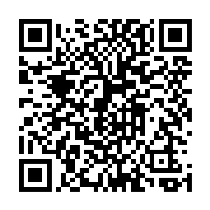 也没管把自己的脸当面团又揪又扯又揉搓的流墨墨的小爪子二维码生成