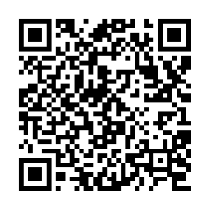 也没管那些仙晶会不会被她丢歪了进不了那半球二维码生成