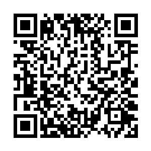 也没表现出有多么吃惊――对方是能斩杀真人的存在二维码生成