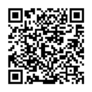 也消失在猛虎帝国以及飞龙帝国各支舰队的视野当中了二维码生成