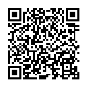 也深刻感受到宋州这个没落贵族身上笼罩着的陈腐气息二维码生成