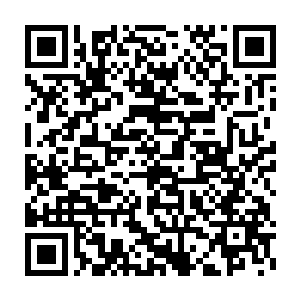 也深深震撼了后宫团中除了龙女赫拉和女佣兵团长娜塔莎之外的其他人二维码生成