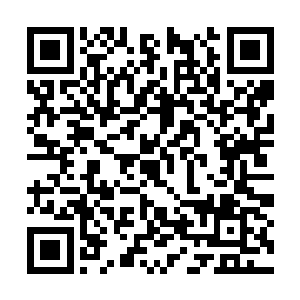 也爬起来跟着哥哥把台子上的东西推过来堆做一堆二维码生成