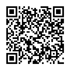 也爱死了他骨子里透出来的淡淡忧伤与倨傲并存的气质二维码生成