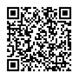 也直接参与和影响着人类的各种生理活动和生命的存在水平二维码生成