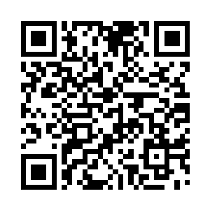 也看到了娃娃果深深插入湖底的粗壮根须二维码生成