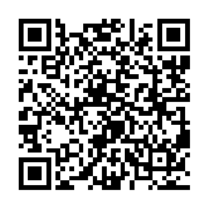 也真正感觉到了太夏这个人族轴心带来的强大的压力二维码生成