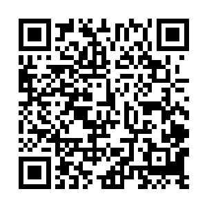 也真的是让徐成周和衣晓溪他们两个小队欲生欲死的二维码生成