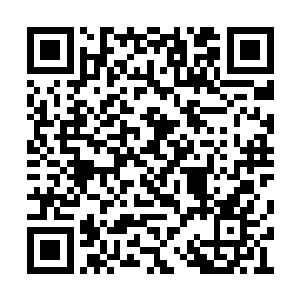 也知道了楚逸已经把自己的事告诉了那位伯祖父二维码生成