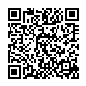 也知道他利用这些狩猎积分进入悟道塔参悟提升二维码生成