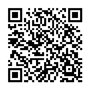 也知道那两位仙士因为地位的一落千丈必然会心内思绪繁杂二维码生成
