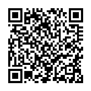 也算不到你梦族长宁可放弃梦族也不扼杀这个外孙的将来吧二维码生成