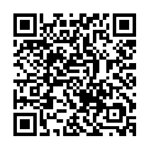 也算得上是唯一一个能和他有点灵魂和精神方面交流的女人了二维码生成