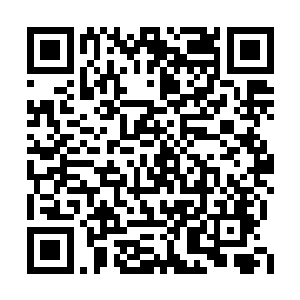 也算是对大家一直以来的支持做的一点小回馈吧二维码生成