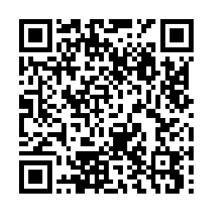 也管不起那么多人的饭…………我们的时间更不多二维码生成