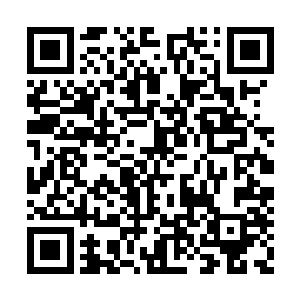 也纷纷前来――这可是杨轻风肯定了的潜力股啊二维码生成