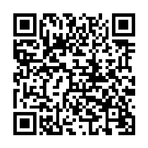 也终于可以不用悄悄的溜进学校去吸收生命气息了二维码生成