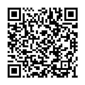 也给进入了全国前三十名的她们这些选手们庆功二维码生成
