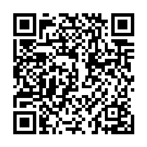 也绝对不敢直接动手的……看到这么多的雇佣兵都有了动作二维码生成